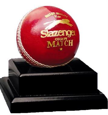 CBB1 CRICKET BALL HOLDER